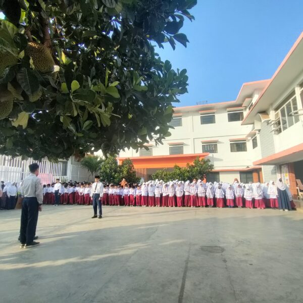 SDQ Binamulya
